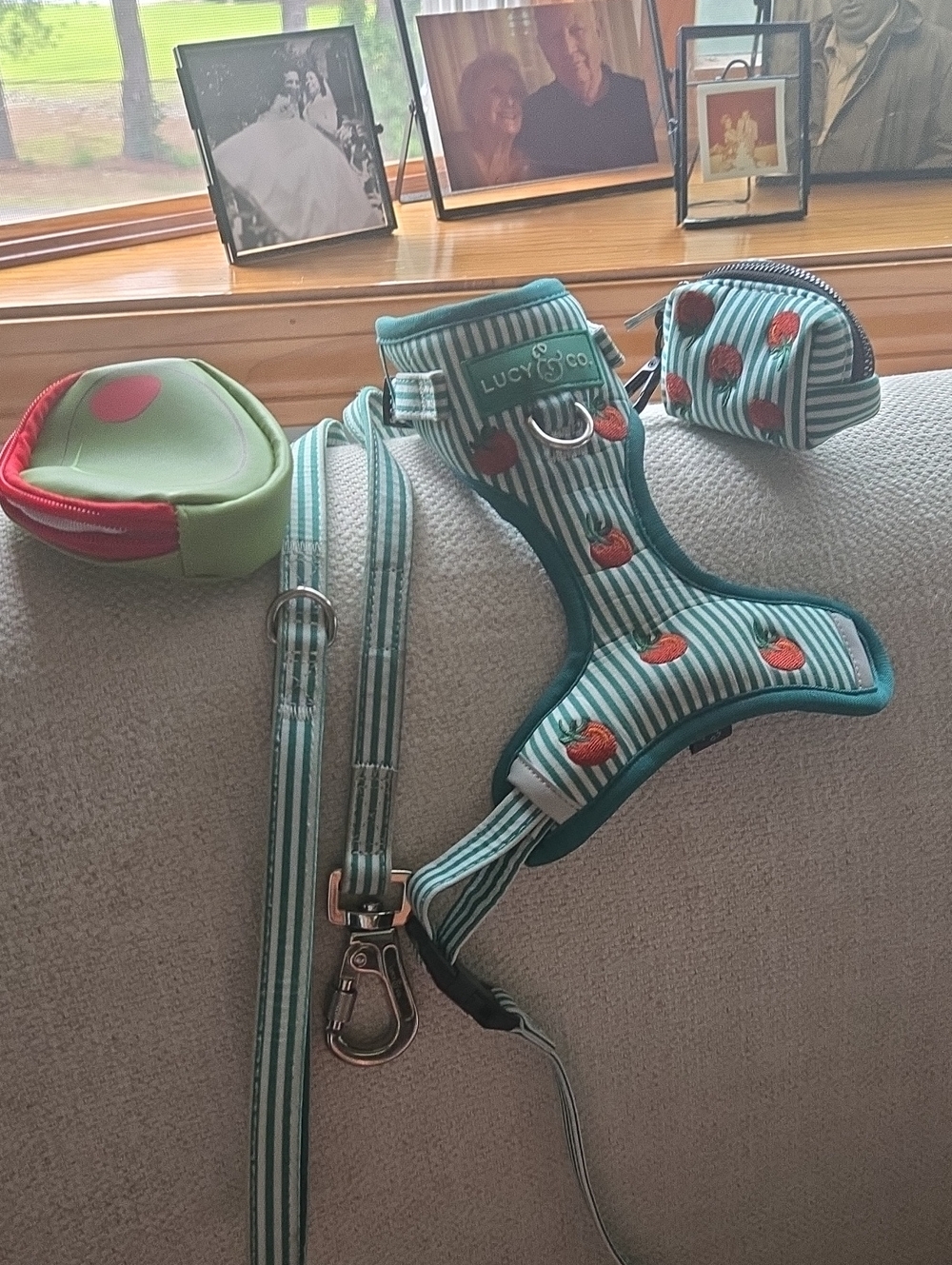 🐾 Lucy & Co. Tomahto XS Dog Harness Set – Size XS